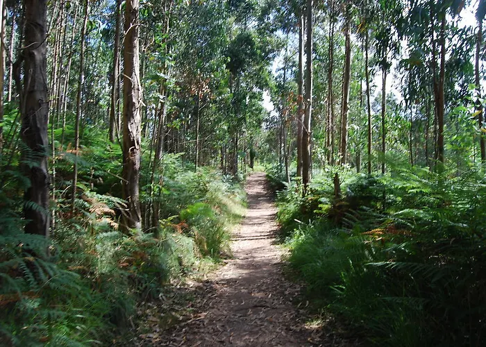 Monte Y Mar Hotel Colunga